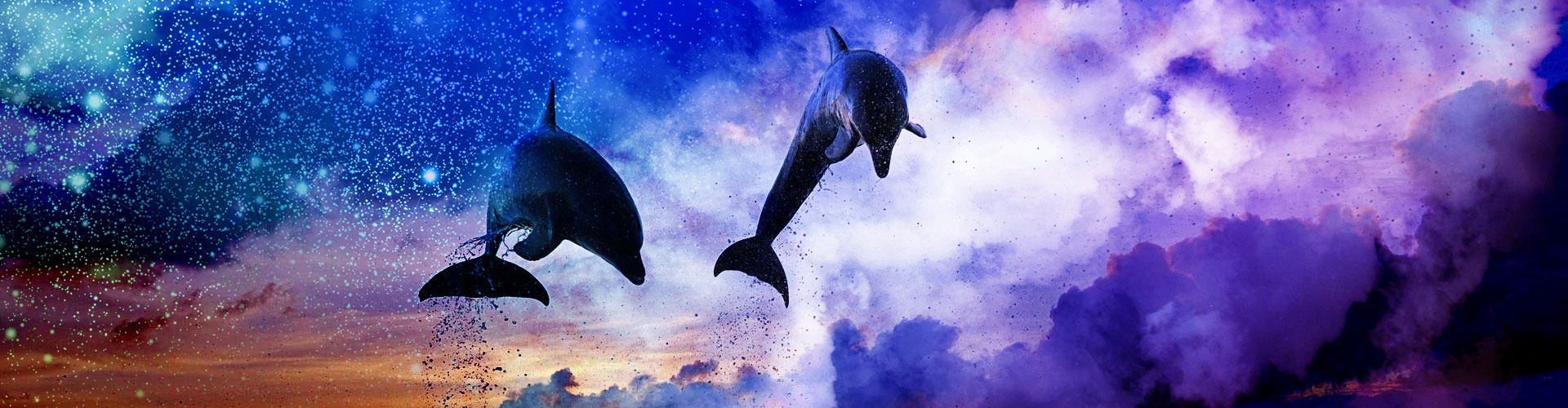 Unbroken-Essence-Slider-5-with-dolphins