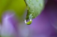 IMG_0766